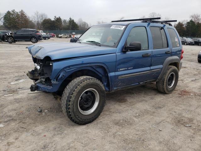 JEEP LIBERTY 2003 1j4gl48k73w702041