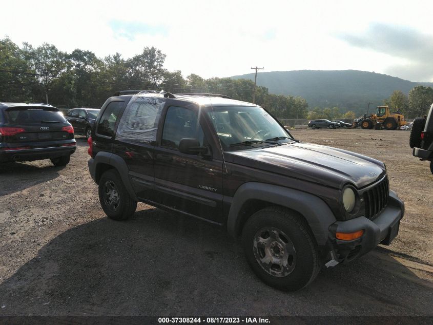 JEEP LIBERTY (NORTH AMERICA) 2004 1j4gl48k74w268902