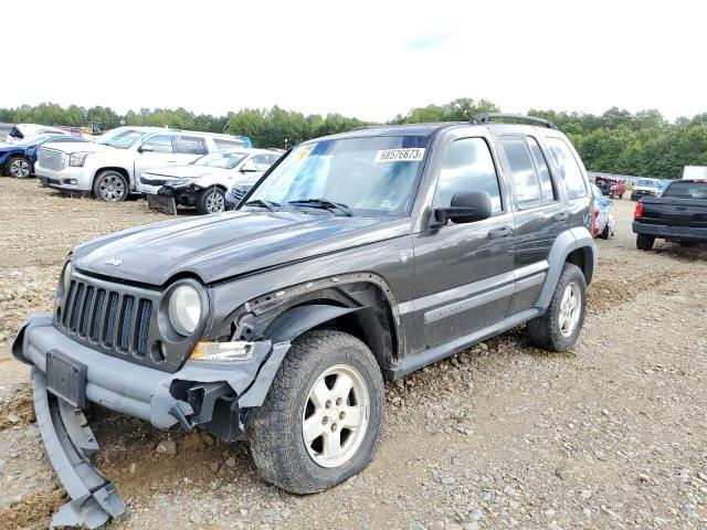 JEEP LIBERTY 2005 1j4gl48k75w665169