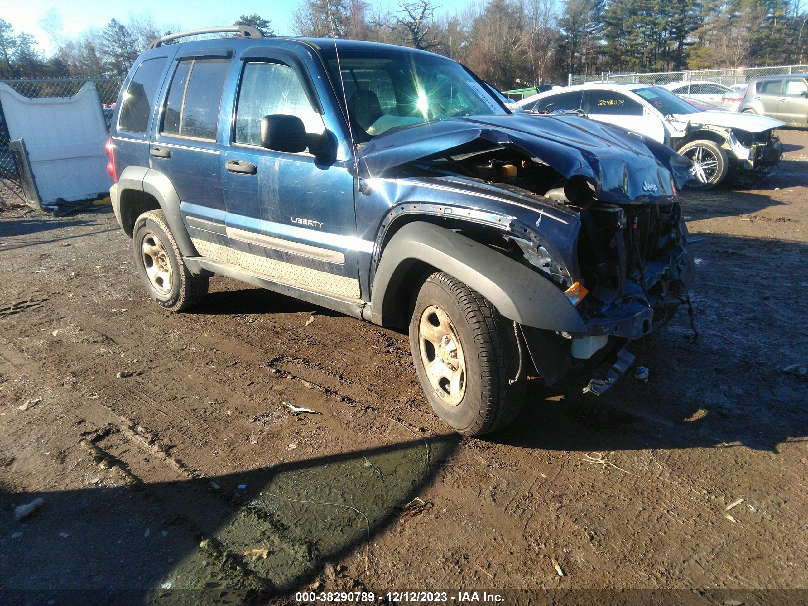 JEEP LIBERTY (NORTH AMERICA) 2006 1j4gl48k76w171198