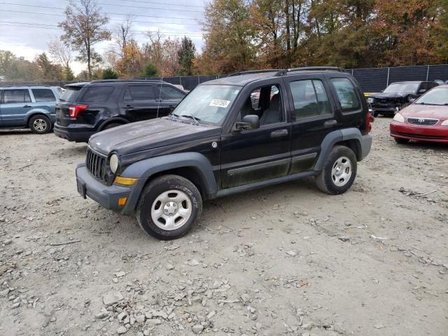 JEEP LIBERTY 2006 1j4gl48k76w280244