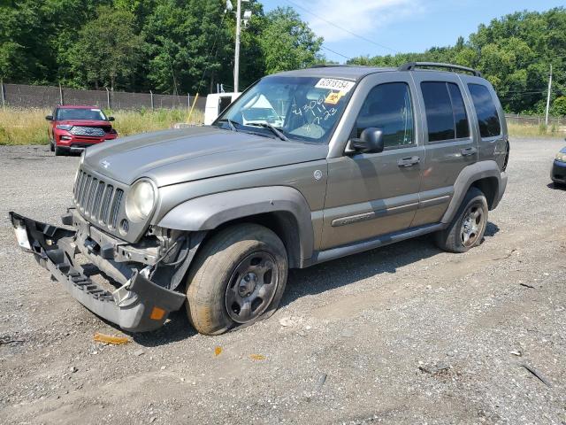 JEEP LIBERTY 2007 1j4gl48k77w522483