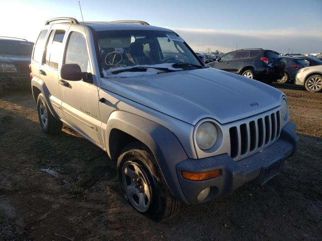 JEEP LIBERTY SP 2002 1j4gl48k82w111618