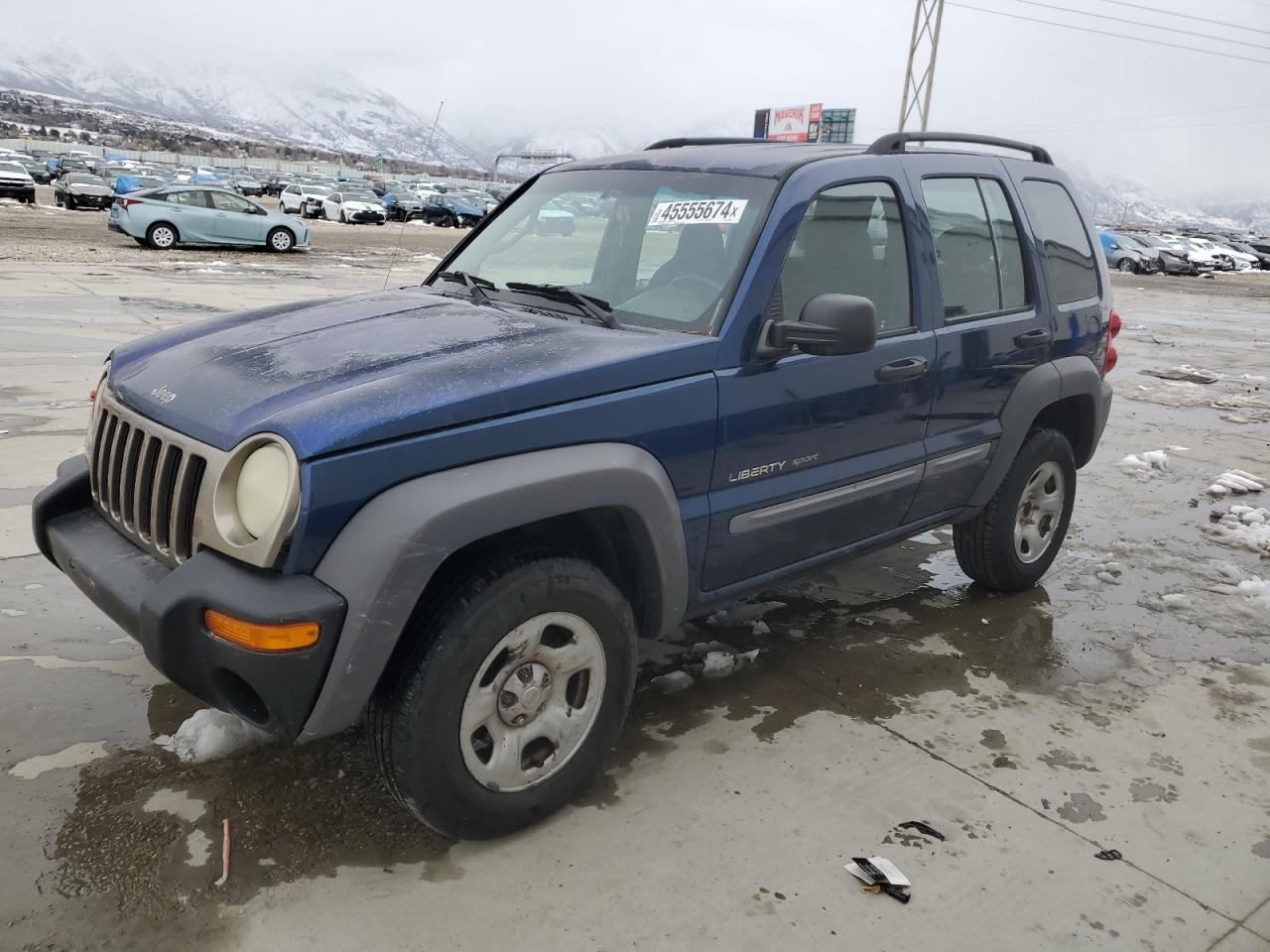 JEEP LIBERTY (NORTH AMERICA) 2002 1j4gl48k82w162794