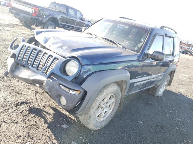 JEEP LIBERTY 2002 1j4gl48k82w167591