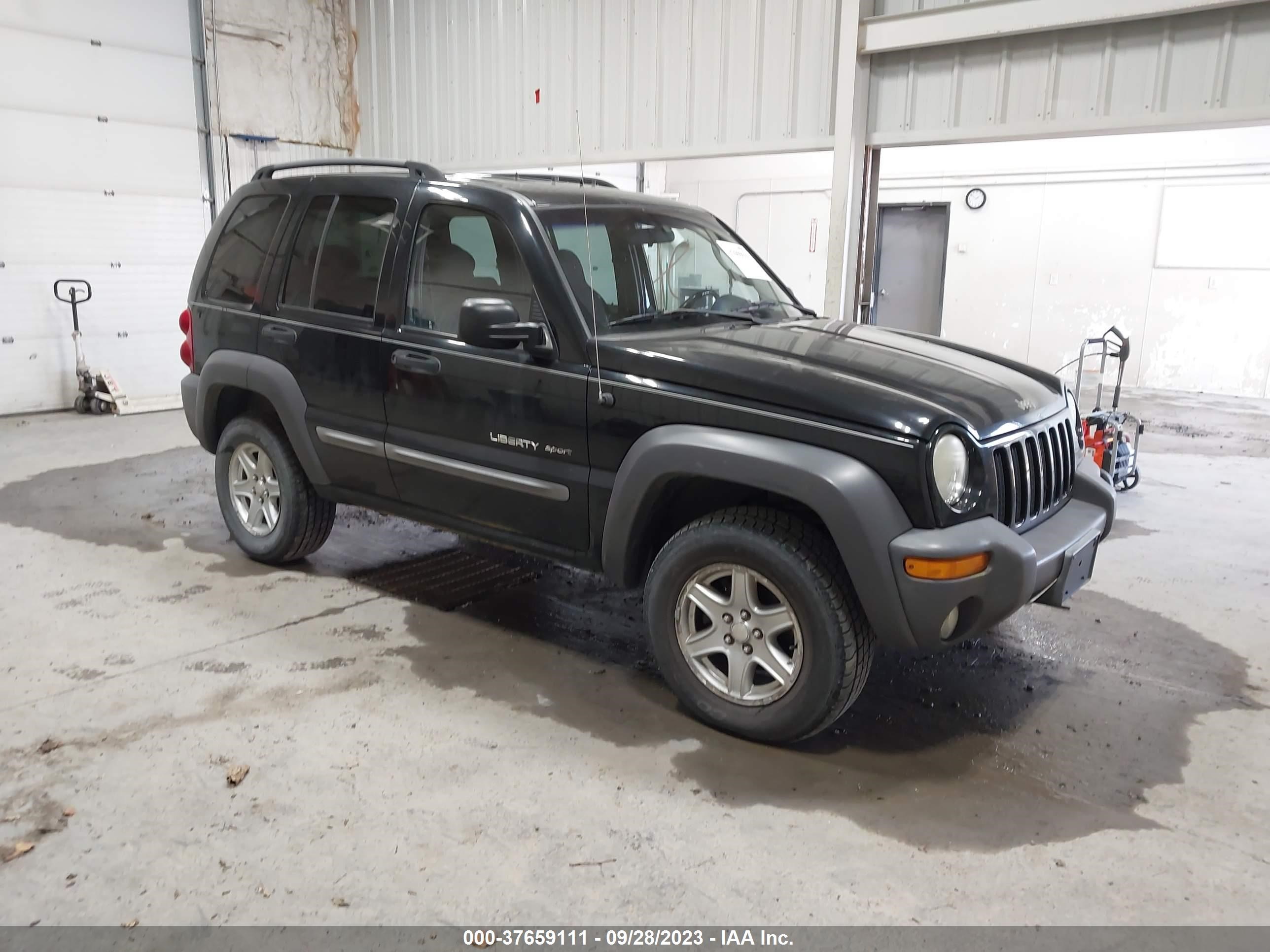 JEEP LIBERTY (NORTH AMERICA) 2002 1j4gl48k82w278013