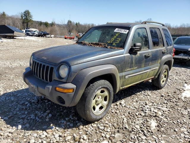 JEEP LIBERTY 2002 1j4gl48k82w319854