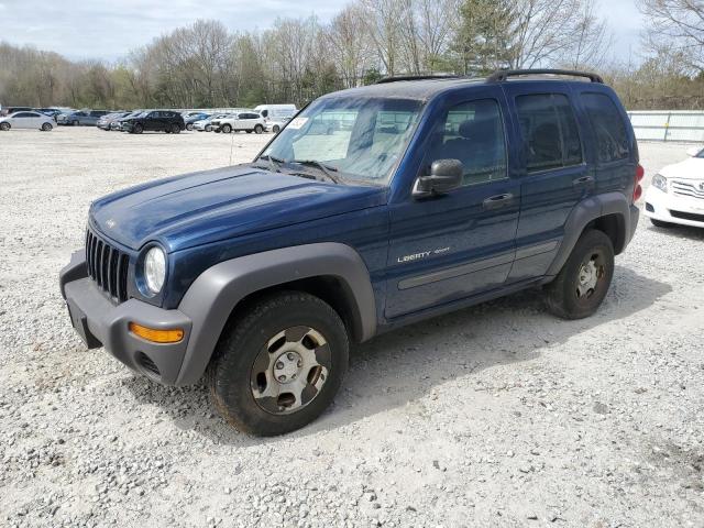 JEEP LIBERTY 2002 1j4gl48k82w353566