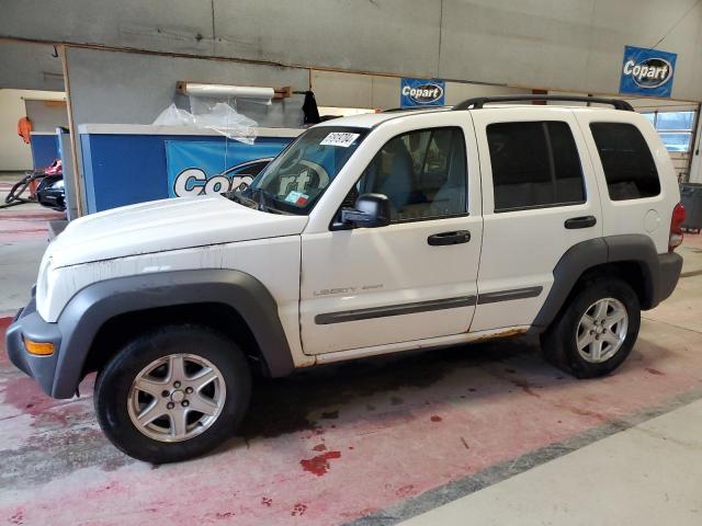 JEEP LIBERTY 2003 1j4gl48k83w528836