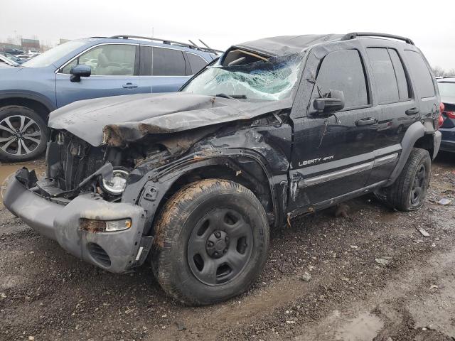 JEEP LIBERTY 2003 1j4gl48k83w611327