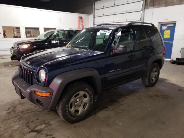 JEEP LIBERTY 2003 1j4gl48k83w720273