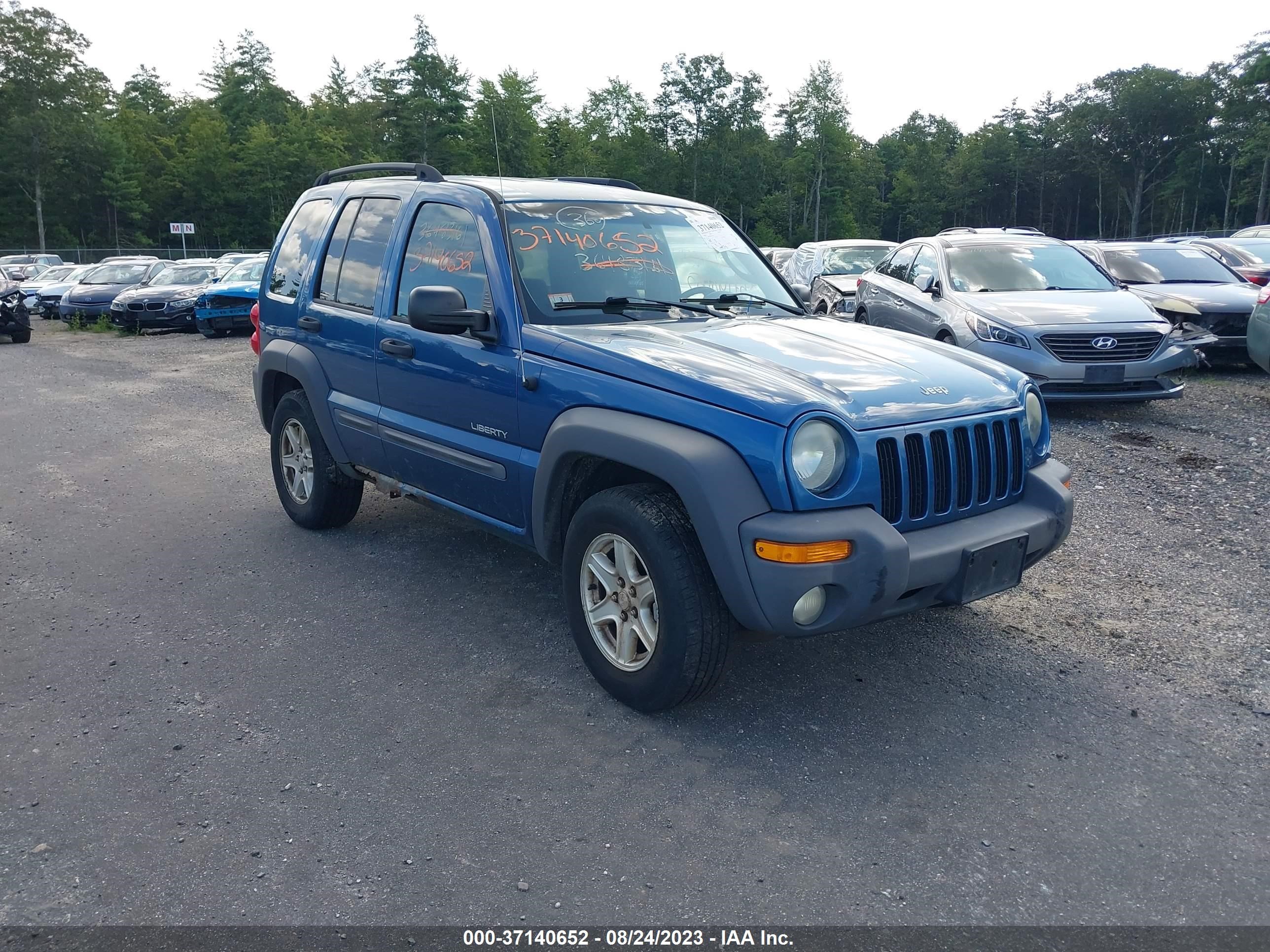 JEEP LIBERTY (NORTH AMERICA) 2004 1j4gl48k84w146260