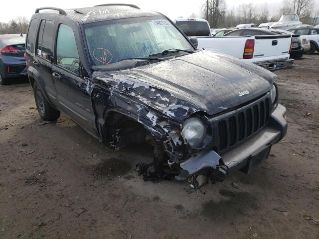 JEEP LIBERTY SP 2004 1j4gl48k84w170543