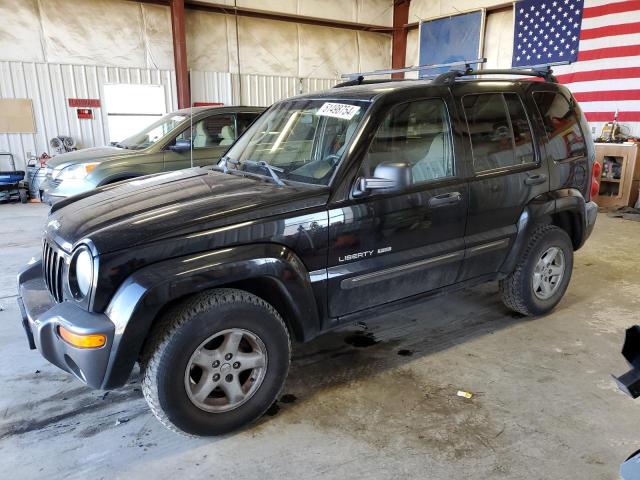 JEEP LIBERTY 2004 1j4gl48k84w184328