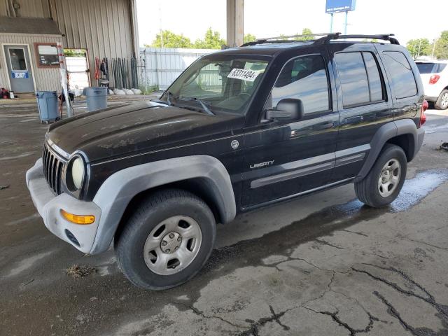 JEEP LIBERTY 2004 1j4gl48k84w189688