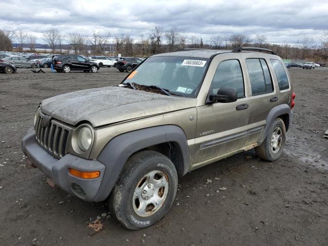 JEEP LIBERTY 2004 1j4gl48k84w201662