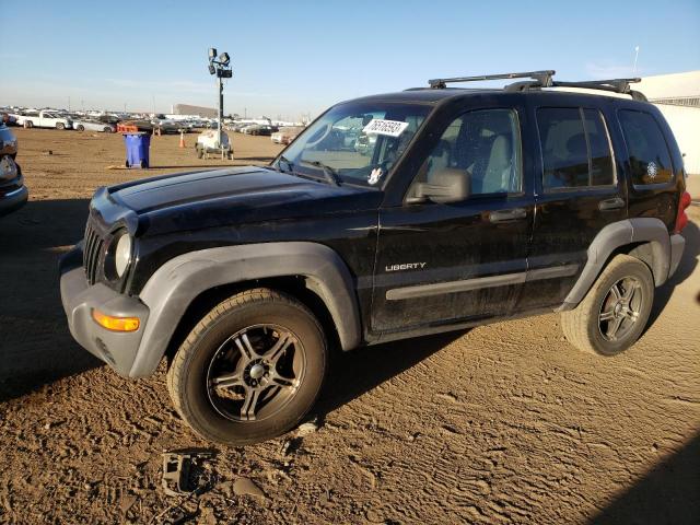 JEEP LIBERTY 2004 1j4gl48k84w263756