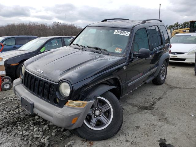 JEEP LIBERTY 2005 1j4gl48k85w554050