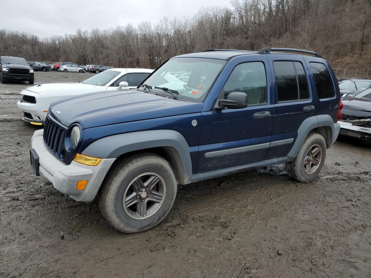 JEEP LIBERTY (NORTH AMERICA) 2005 1j4gl48k85w572984