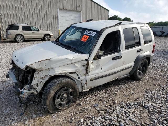 JEEP LIBERTY 2005 1j4gl48k85w641592