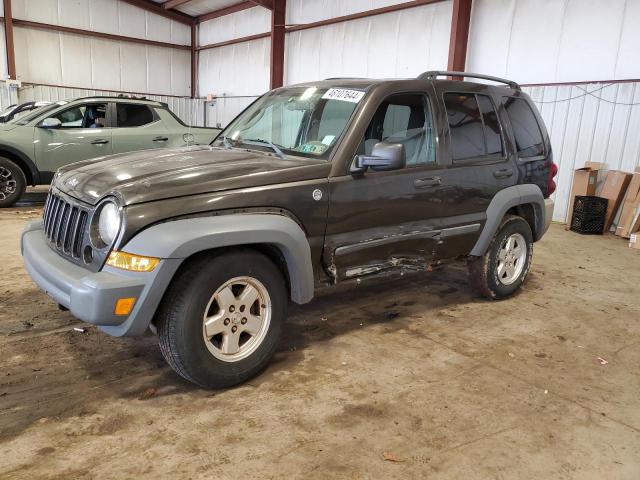 JEEP LIBERTY 2006 1j4gl48k86w126268