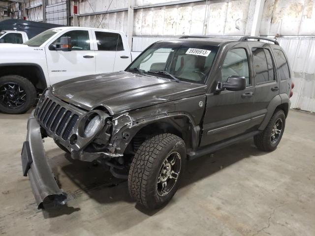 JEEP LIBERTY LI 2006 1j4gl48k86w171288