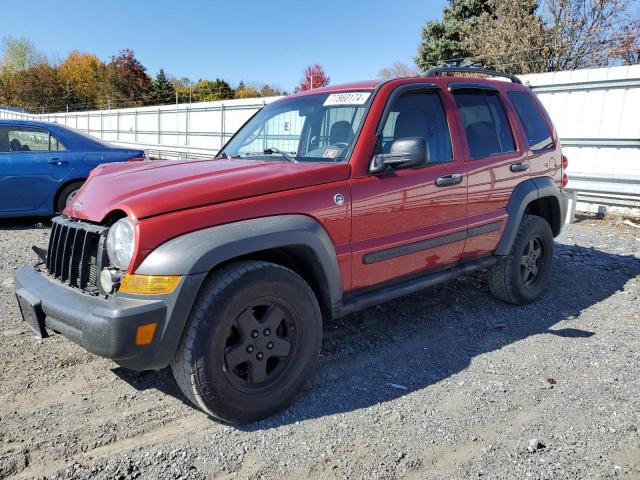 JEEP LIBERTY SP 2006 1j4gl48k86w235944