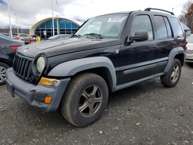 JEEP LIBERTY 2007 1j4gl48k87w646391