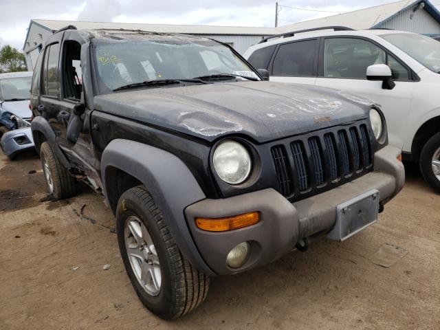 JEEP LIBERTY SP 2002 1j4gl48k92w281437