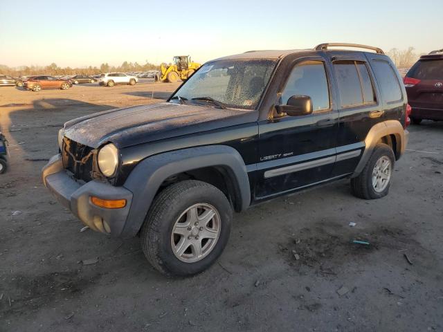 JEEP LIBERTY 2002 1j4gl48k92w293071