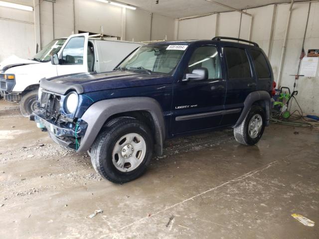 JEEP LIBERTY 2003 1j4gl48k93w654591