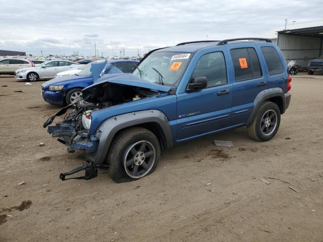 JEEP LIBERTY 2003 1j4gl48k93w671570