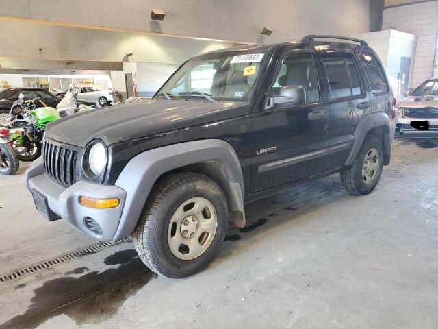 JEEP LIBERTY 2004 1j4gl48k94w195550