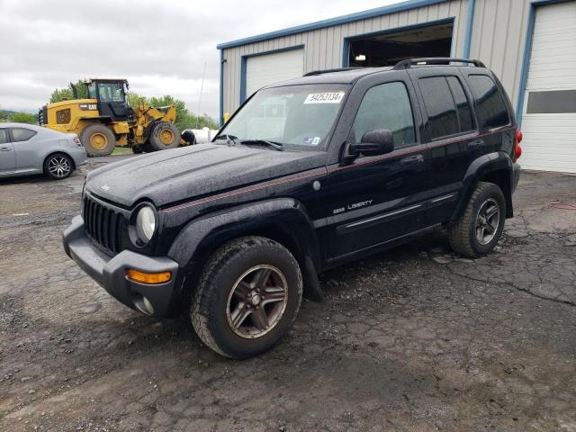 JEEP LIBERTY 2004 1j4gl48k94w199985