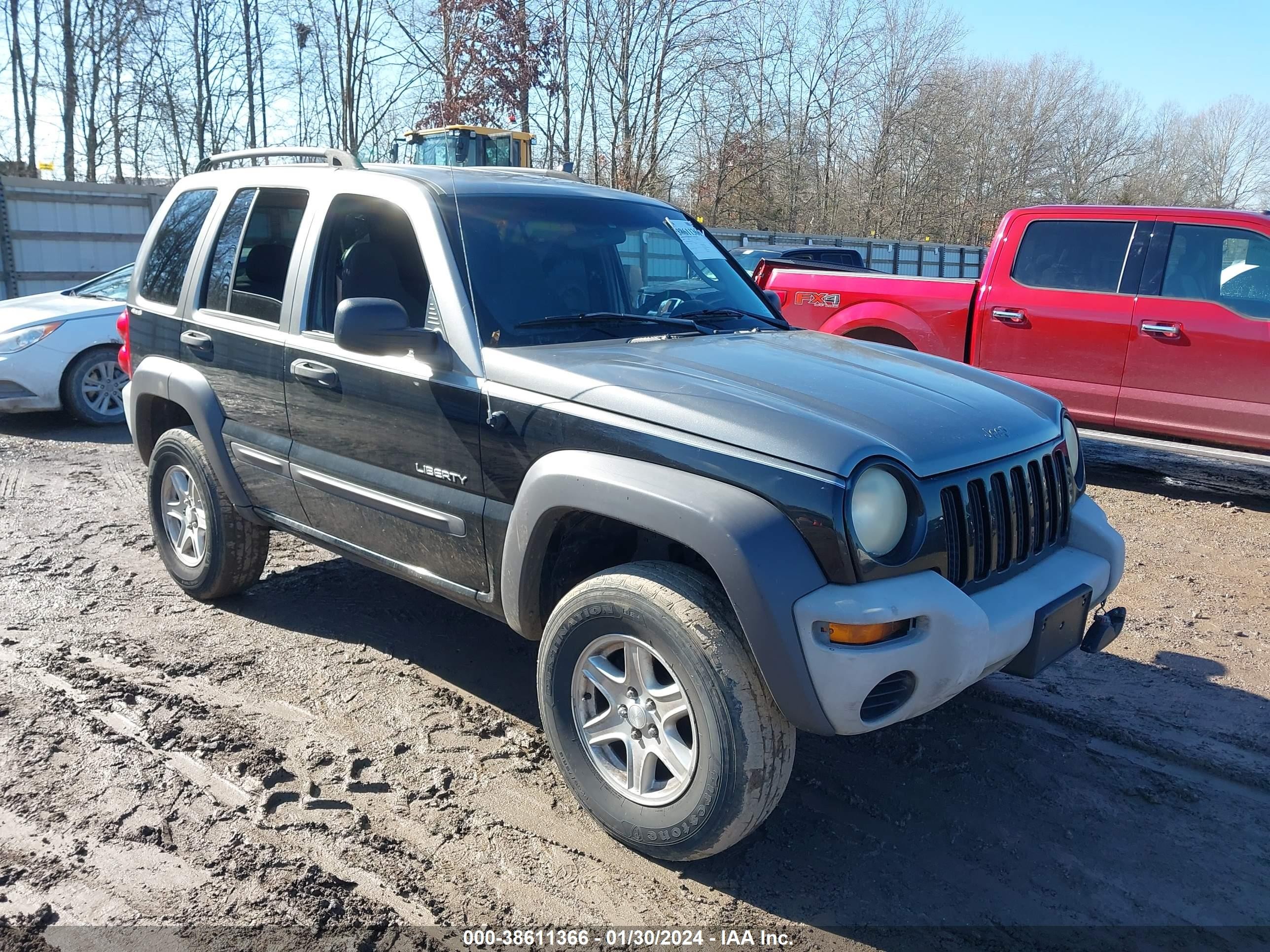 JEEP LIBERTY (NORTH AMERICA) 2004 1j4gl48k94w242592