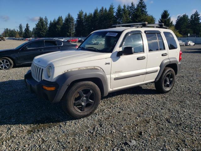 JEEP LIBERTY SP 2004 1j4gl48k94w300085