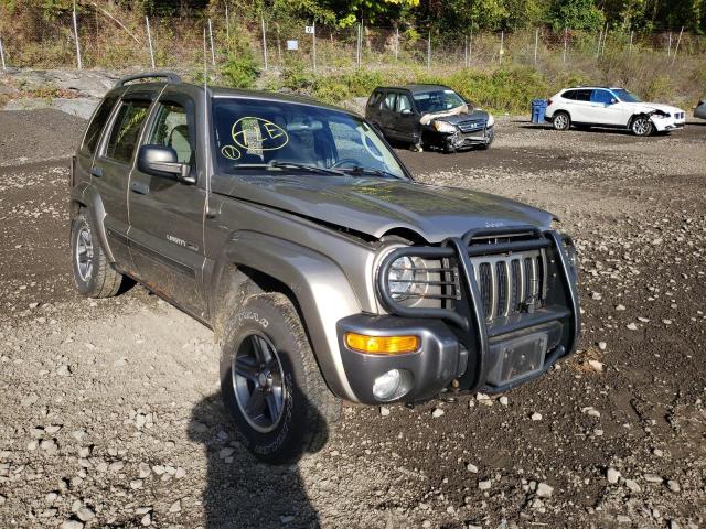 JEEP LIBERTY SP 2004 1j4gl48k94w315217