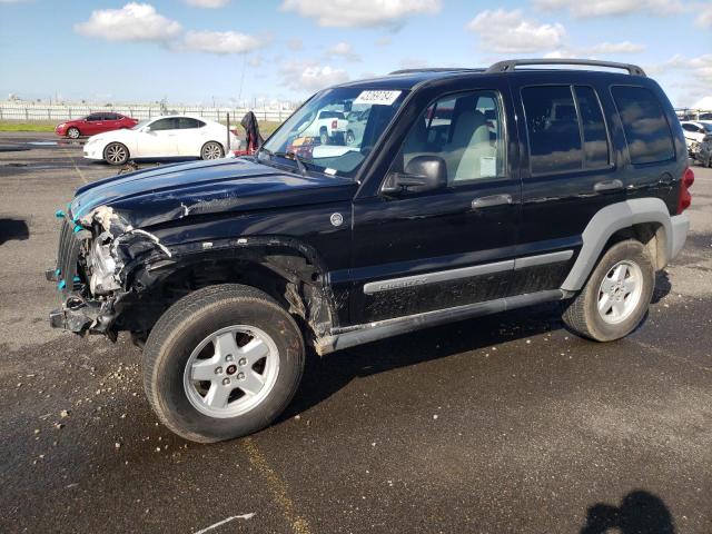 JEEP LIBERTY 2005 1j4gl48k95w601876