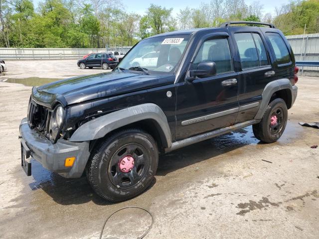 JEEP LIBERTY 2006 1j4gl48k96w204704