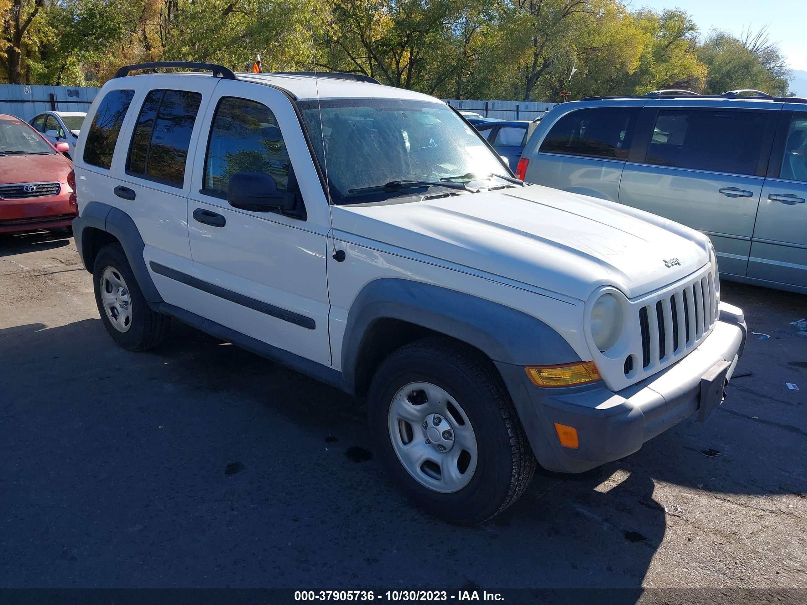 JEEP LIBERTY (NORTH AMERICA) 2006 1j4gl48k96w278933