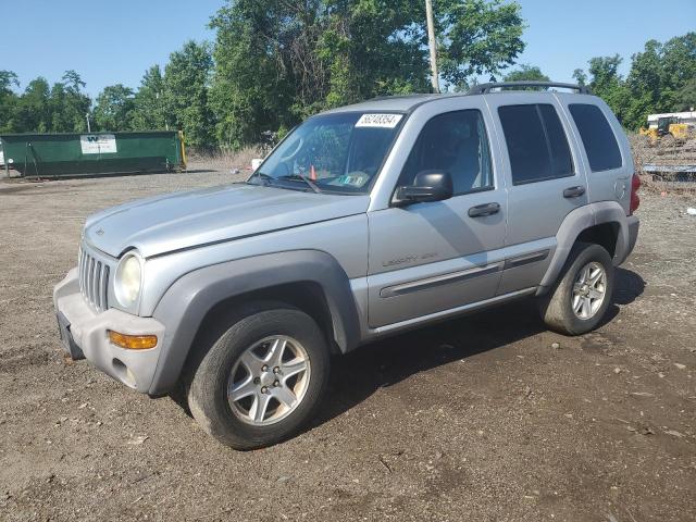 JEEP LIBERTY SP 2002 1j4gl48kx2w151067