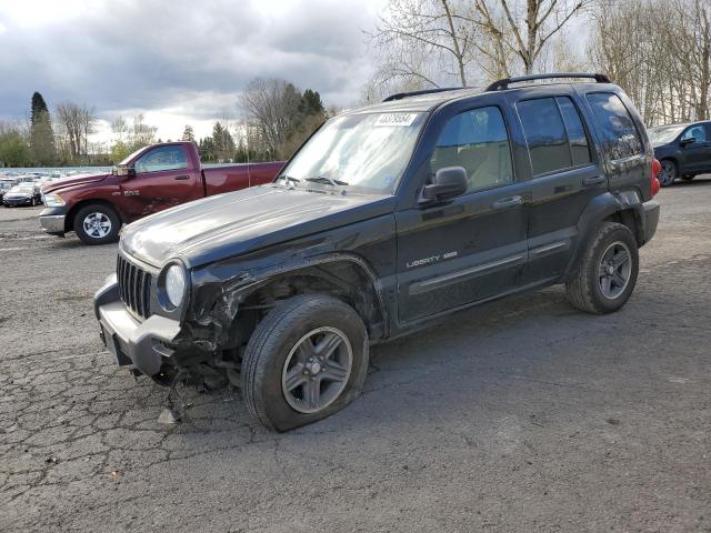 JEEP LIBERTY 2004 1j4gl48kx4w208614