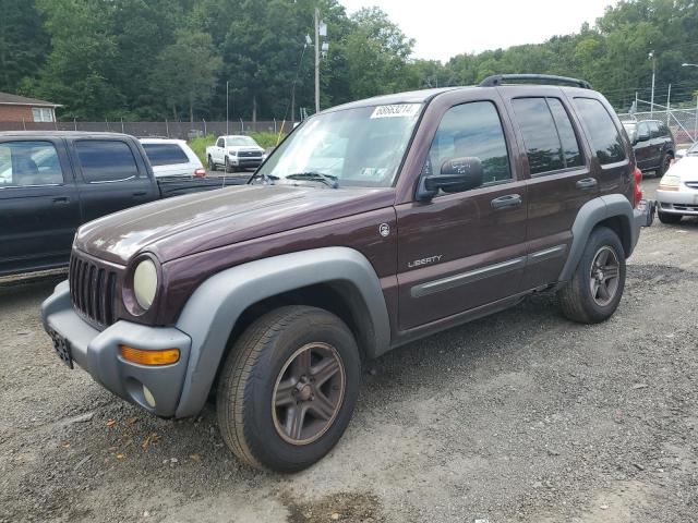 JEEP LIBERTY SP 2004 1j4gl48kx4w225316