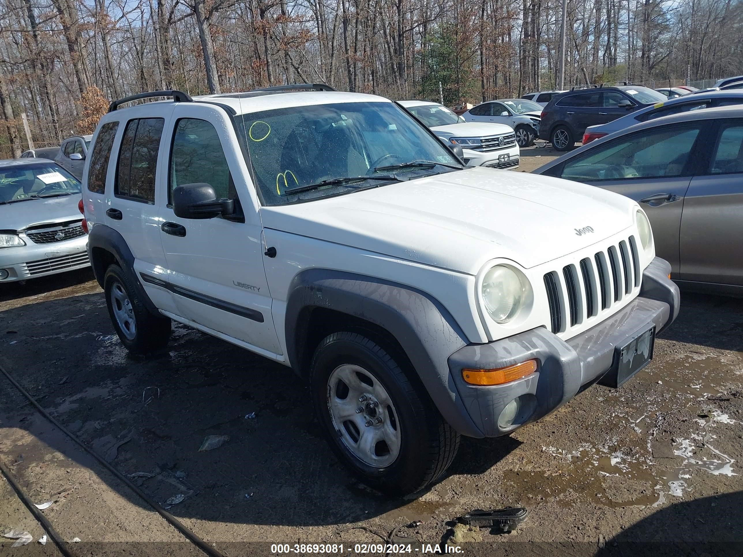 JEEP LIBERTY (NORTH AMERICA) 2004 1j4gl48kx4w240852