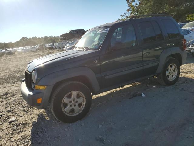 JEEP LIBERTY SP 2006 1j4gl48kx6w133268