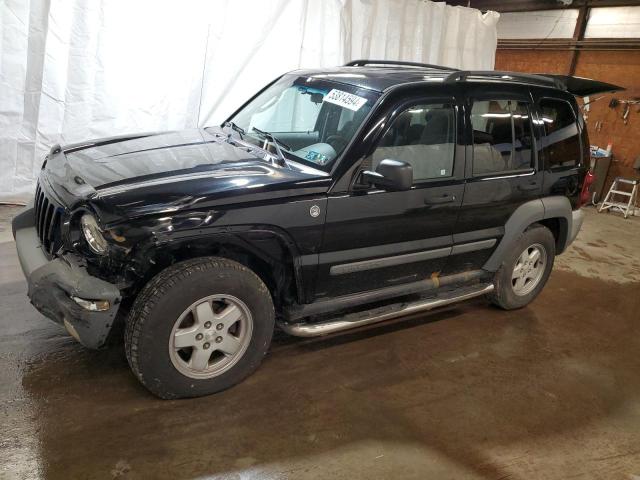 JEEP LIBERTY 2006 1j4gl48kx6w151043