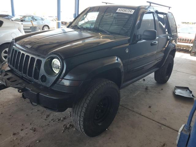 JEEP LIBERTY LI 2005 1j4gl58565w680357