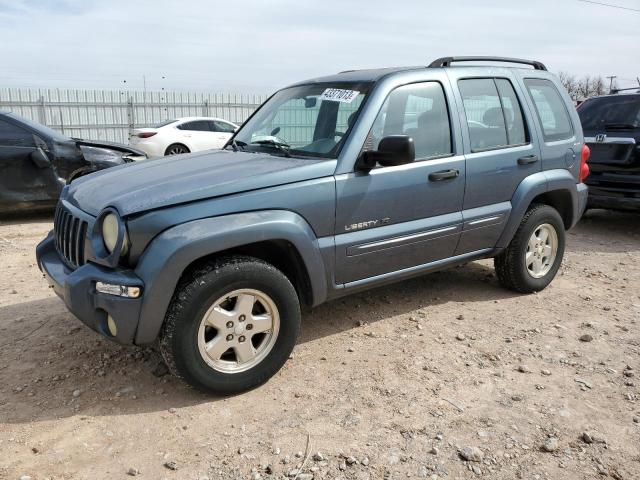 JEEP LIBERTY 2002 1j4gl58k02w198274