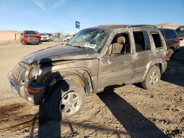 JEEP LIBERTY 2002 1j4gl58k02w235551