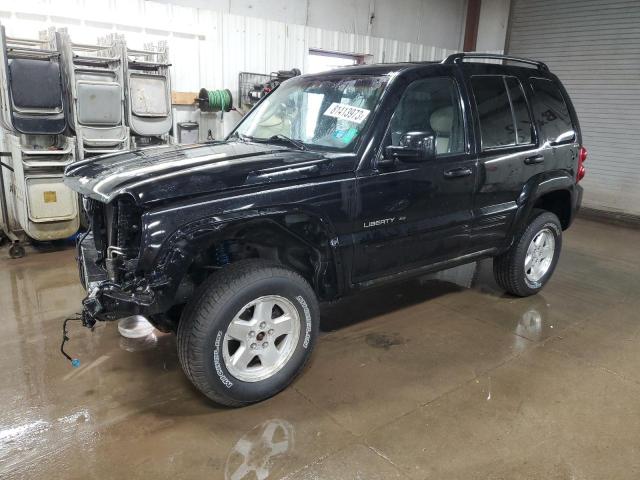 JEEP LIBERTY 2002 1j4gl58k02w274169